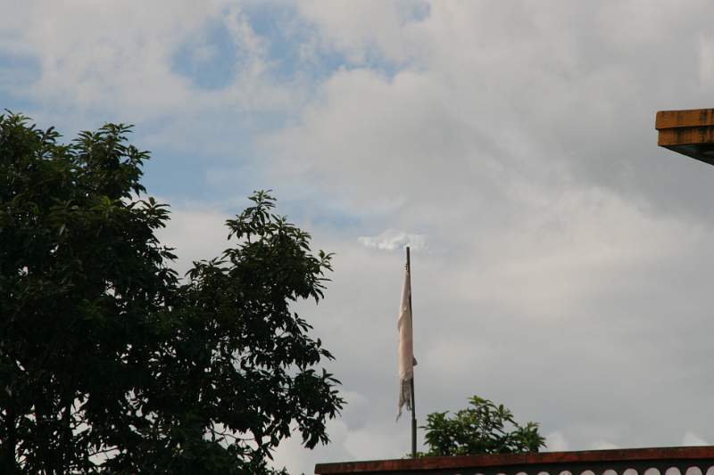 India & Nepal 2011 - 0448